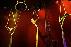 Aerial silks