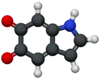 Molecular model of indole-5,6-quinone