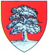 Coat of arms of Județul Lăpușna