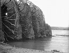 On the Euphrates, at Ajmiyeh, near Rawa, Iraq, in 1911