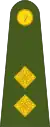 LieutenantIrish: Leifteanant(Irish Army)