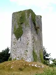 Image 29A tower house near Quin, County Clare. The Normans consolidated their presence in Ireland by building hundreds of castles and towers such as this. (from History of Ireland)