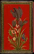 Iris, painted lacquer album cover. Delhi, c. 1850