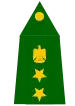 Iraqi colonel