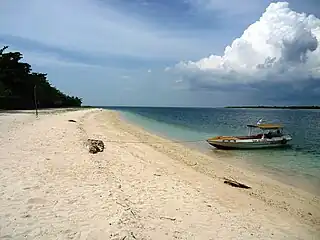 Pink sands of the island