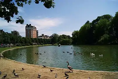 Ixelles Ponds