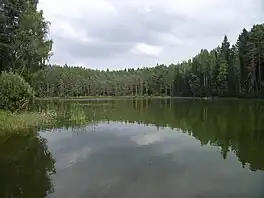 Lake Jõuga Pesujärv