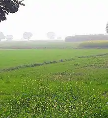 Farms of Jaburna during Winters