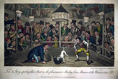 Jacco Macacco at the Westminster-Pit1821