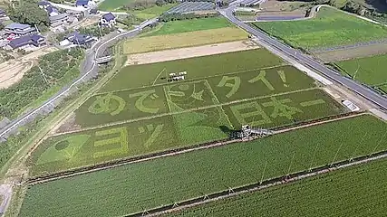 Tambo art depicting a red seabream in a rice paddy in Fukuoka