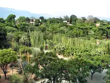 Ethnobotanical Garden at the Temple of Santo Domingo