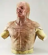 A sculpture of a male torso and head is overlaid with fake skin, which has been molded to appear as lean muscle. The face is disfigured, the left side of the mouth is curled upwards as though snarling, the right eye droops and is pressed into the eye socket, and the top of the head is bald with strands of hair on the back. The skin is pale.