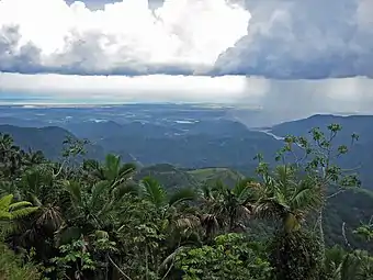 View of the southern coast of Puerto Rico from PR-143