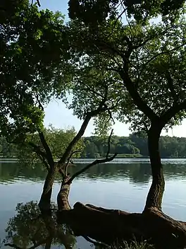 Lake Rusałka