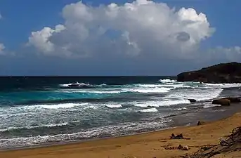 Jobos Beach in 2012