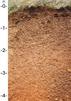 Cross-section of four feet of reddish-brown soil