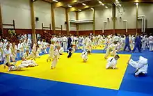 Image 51International judo camp in Artjärvi, Orimattila, Finland (from Judo)