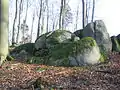 The rocks at the Juhöhe are  supposed to be the petrified dogheads of the Rodensteiner cry of hounds