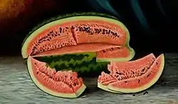 Watermelon, 1893