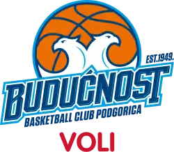 Budućnost VOLI logo