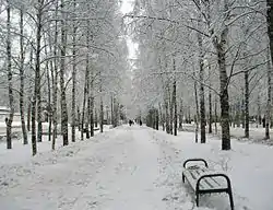 A park built in the middle of Entuziastov Street, Kaduy