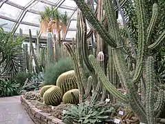 Botanischer Garten