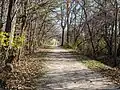 Kal-Haven Trail facing east.