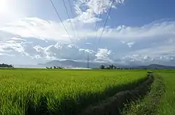 Kalatungan Mountains as seen from Maramag