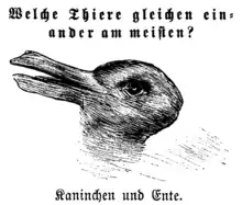 The first known instance of the rabbit–duck illusion, anonymous illustration from the 23 October 1892 issue