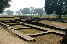 Ruins of walled buildings