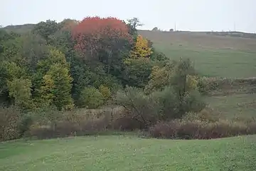 Nature around the village