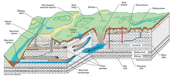 Cross section of karst terrain showing topographic features and water flow paths.