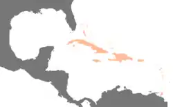 Image 6The West Indies in relation to the continental Americas (from Indigenous peoples of the Americas)