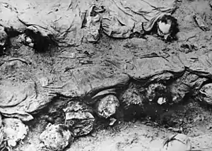 Image 22Polish military officers executed by the Soviet NKVD in the Katyn massacre, exhumation photo taken by the Polish Red Cross delegation in 1943 (from World War II casualties)