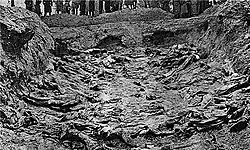 A mass grave, with multiple corpses visible