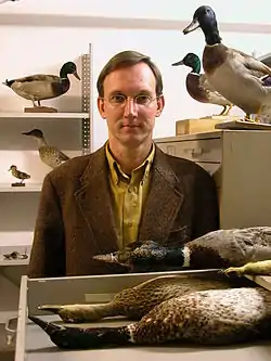 Moeliker with taxidermy ducks in the Natural History Museum Rotterdam