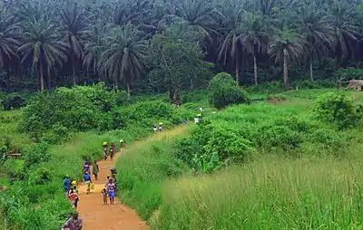 Image 8The road from Kenema to Kailahun District (from Sierra Leone)