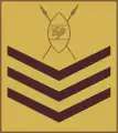 Staff sergeant(Kenya Army)