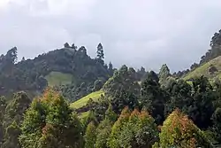 Murang’a County Landscape