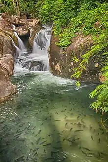 Khao Chamao (Khlong Nam Sai) Waterfall, Khao Chamao–Khao Wong National Park