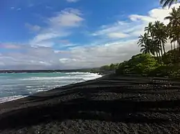 A green sea turtle on the shore of Kiholo Bay.