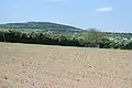 A field in Milltown with the Hill of Allen in the distance.