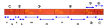 A diagram showing how a tanmono is cut into the pattern pieces for a kimono.