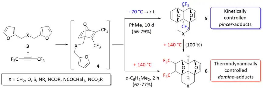 Kinetic and thermodynamic control of the tandem Diels–Alder reaction.