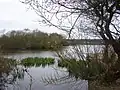 A view of part of the lake showing part of one island