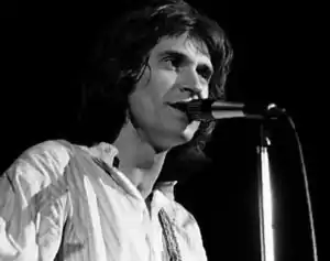 Ray Davies