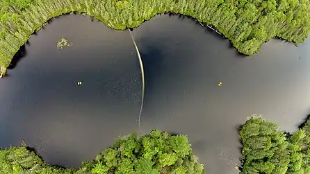 Aerial photo of Kinwamakwad Lake (Long Lake) showing the center shallow portion of the lake. A white curtain divides the lake into two basins where the right side is darker due to an increase in dissolved organic carbon by about 50%. The water color difference is shown using two secchi disks which are submerged 0.5 meters below the surface on each side of the curtain. The secchi disk to the left of the curtain is lighter while the disk to the right is darker due to elevated dissolved organic carbon.