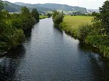 The River Kinzig passing through the Black Forest