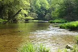 Kinzua Creek