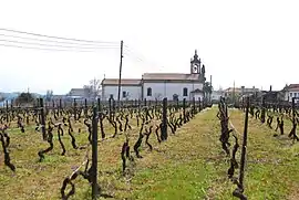 Church of Lobão da Beira (Igreja de Lobão da Beira)